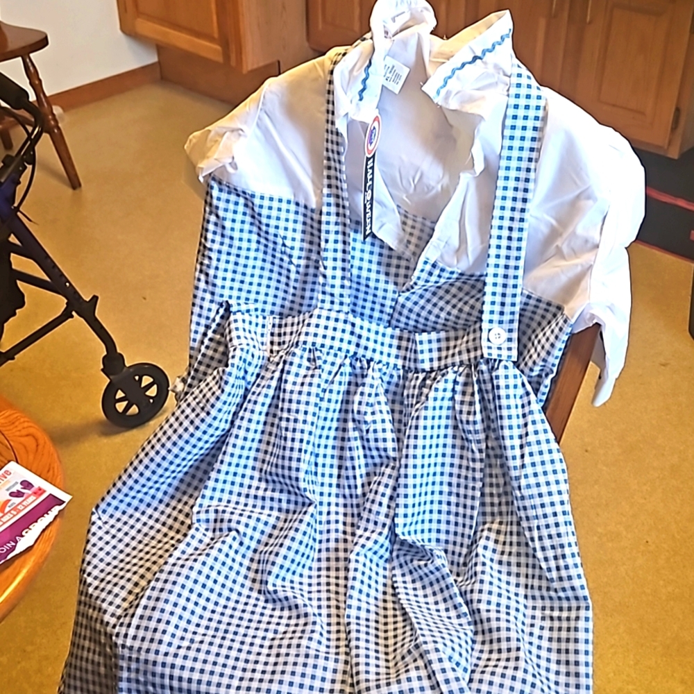 Dorothy dress from wizard of oz.